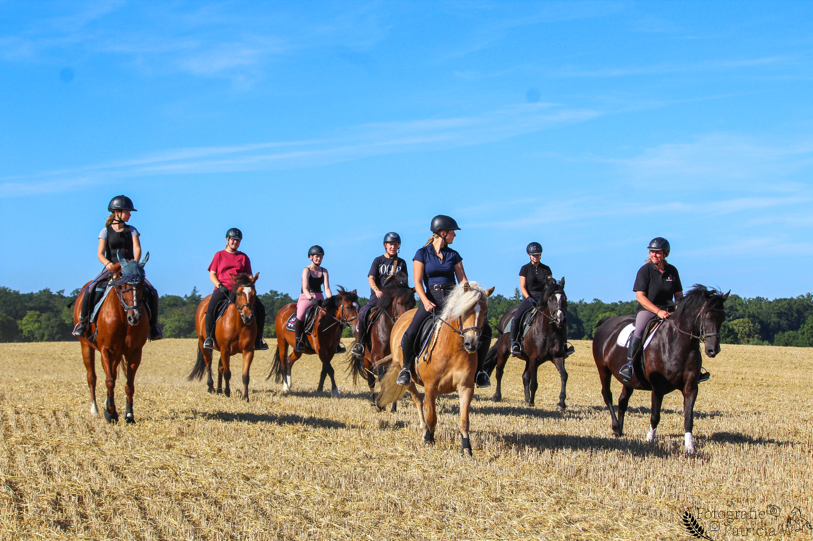 Horseback ride across fields & meadows