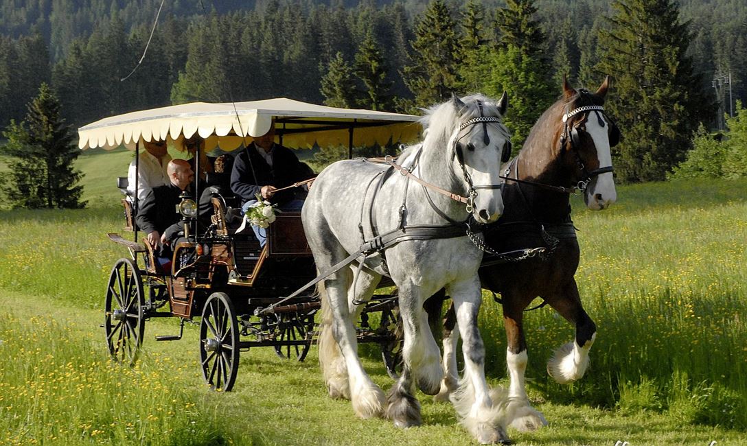 Carriage ride Kirchberg to Aschau