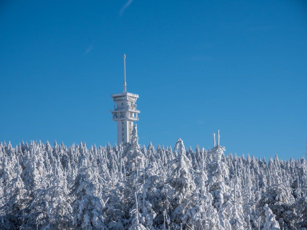 Mit dem Bus auf den Keilberg (Linie A)