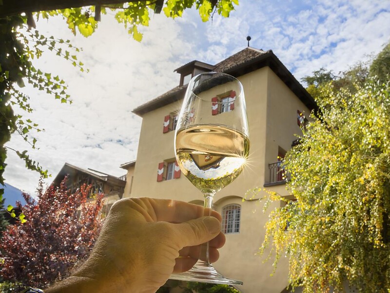 Terroir und Charakter: Führung und Verkostung am Weingut Köfelgut