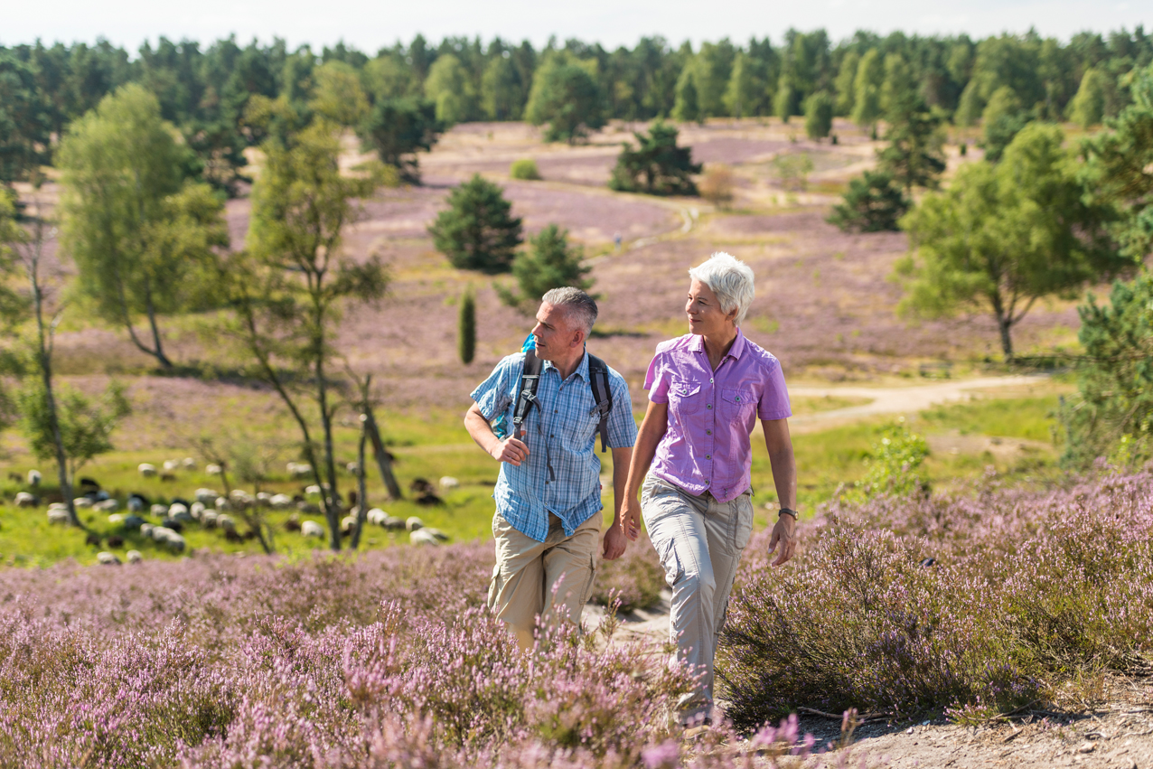 Wandern im 
Naturpark Südheide