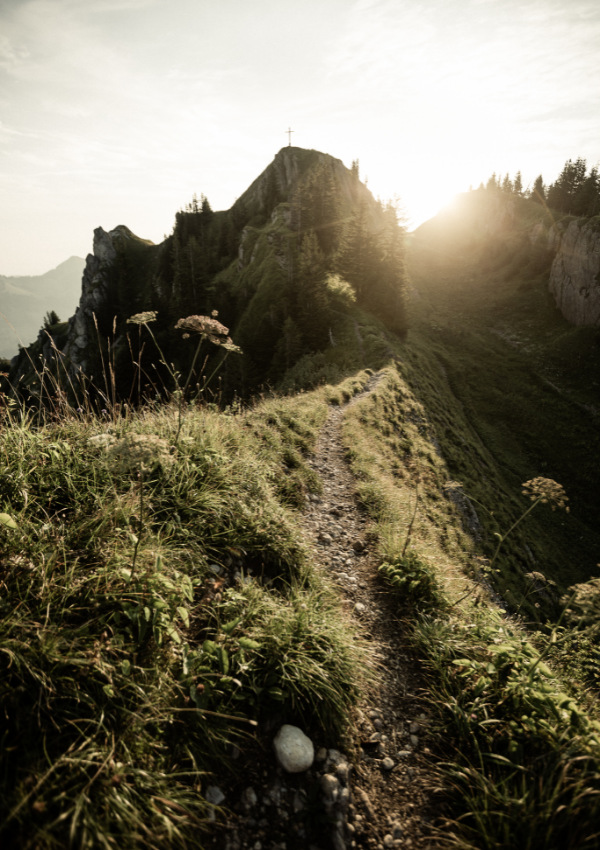 Sundowner-Wanderung 61a47586-8f3e-4810-8852-6f4b741d00e6.jpeg