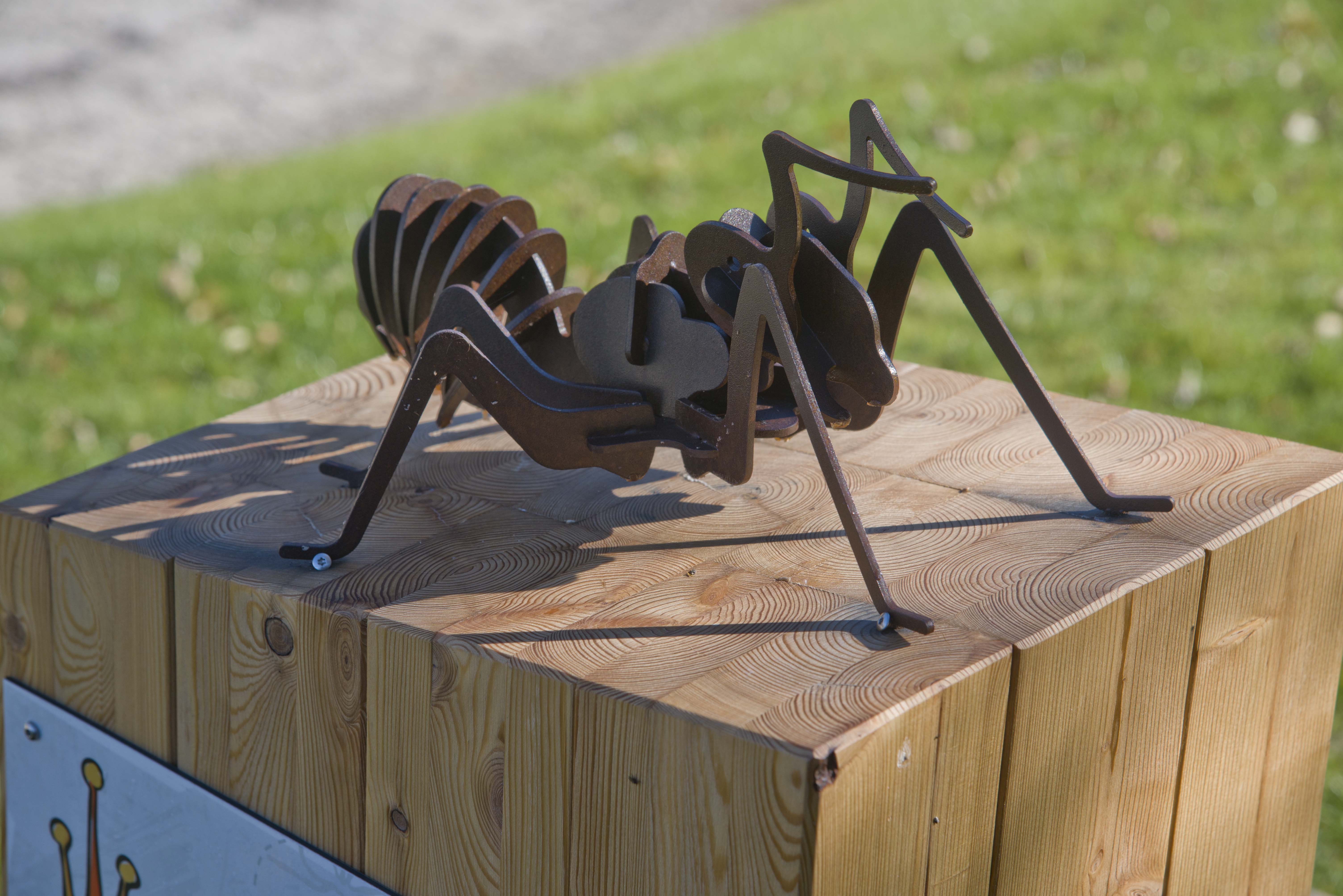 Mascot "Coronas" ant trail