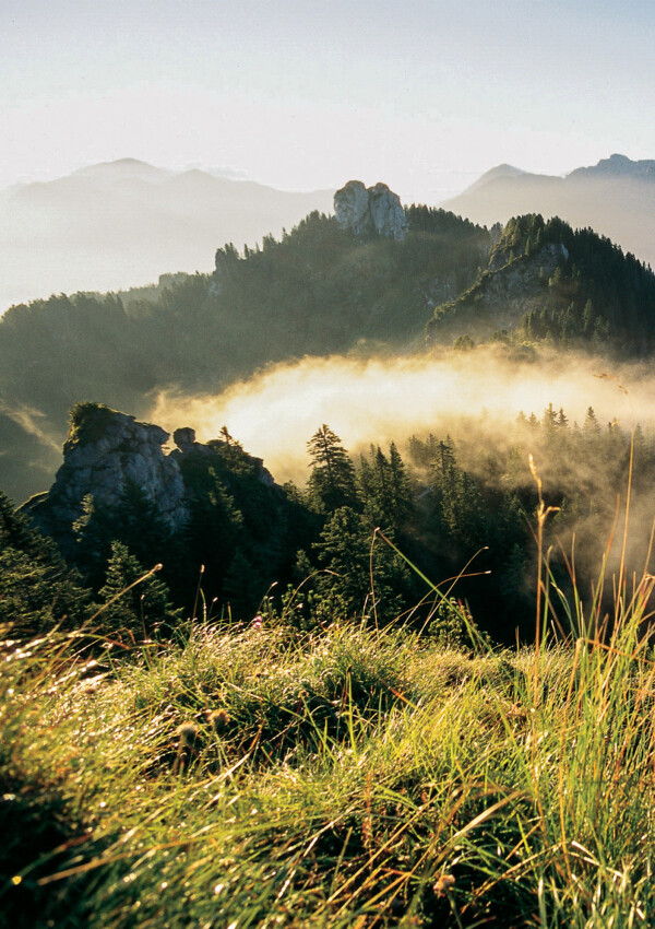 Meditation Path Ammergau Alps