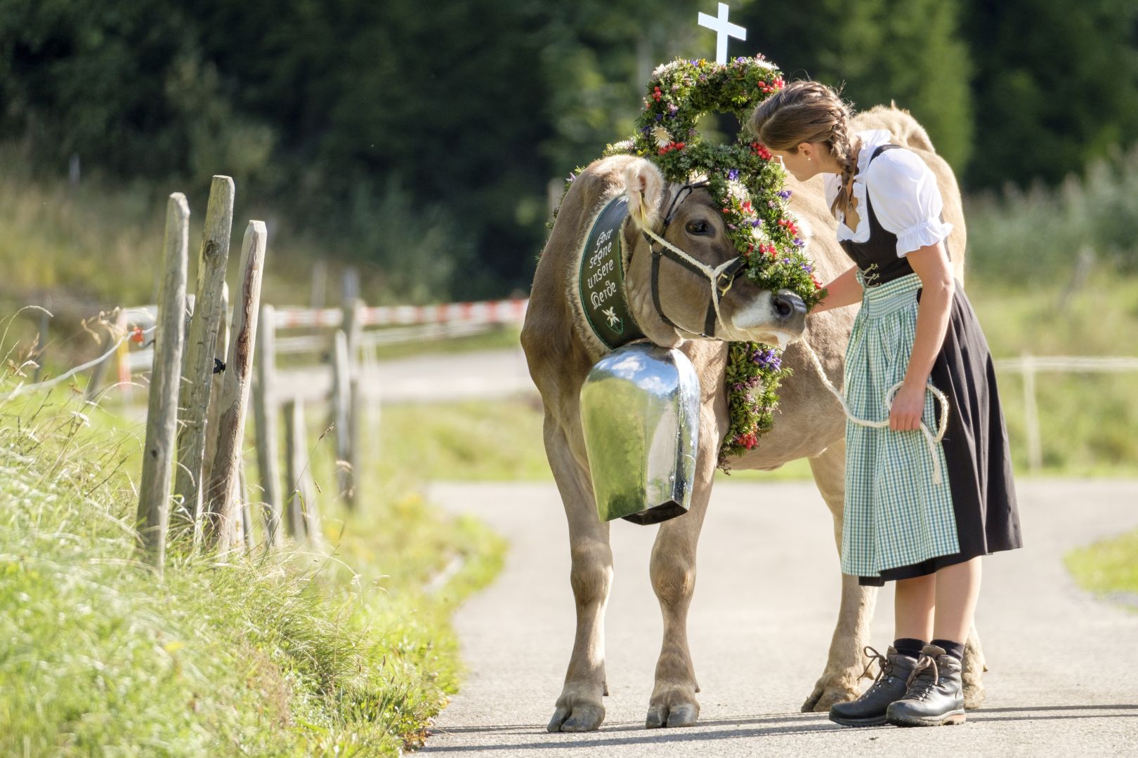 Viehscheid Balderschwang am 11.09.2026