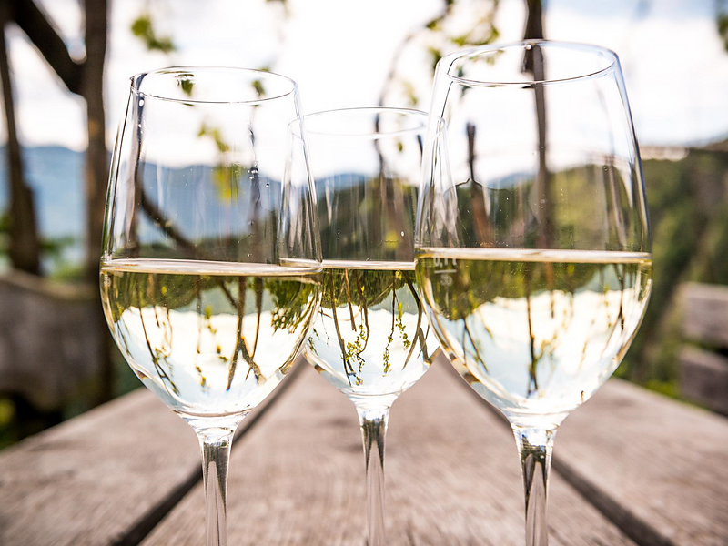 Guided tour & wine tasting - Perlhof