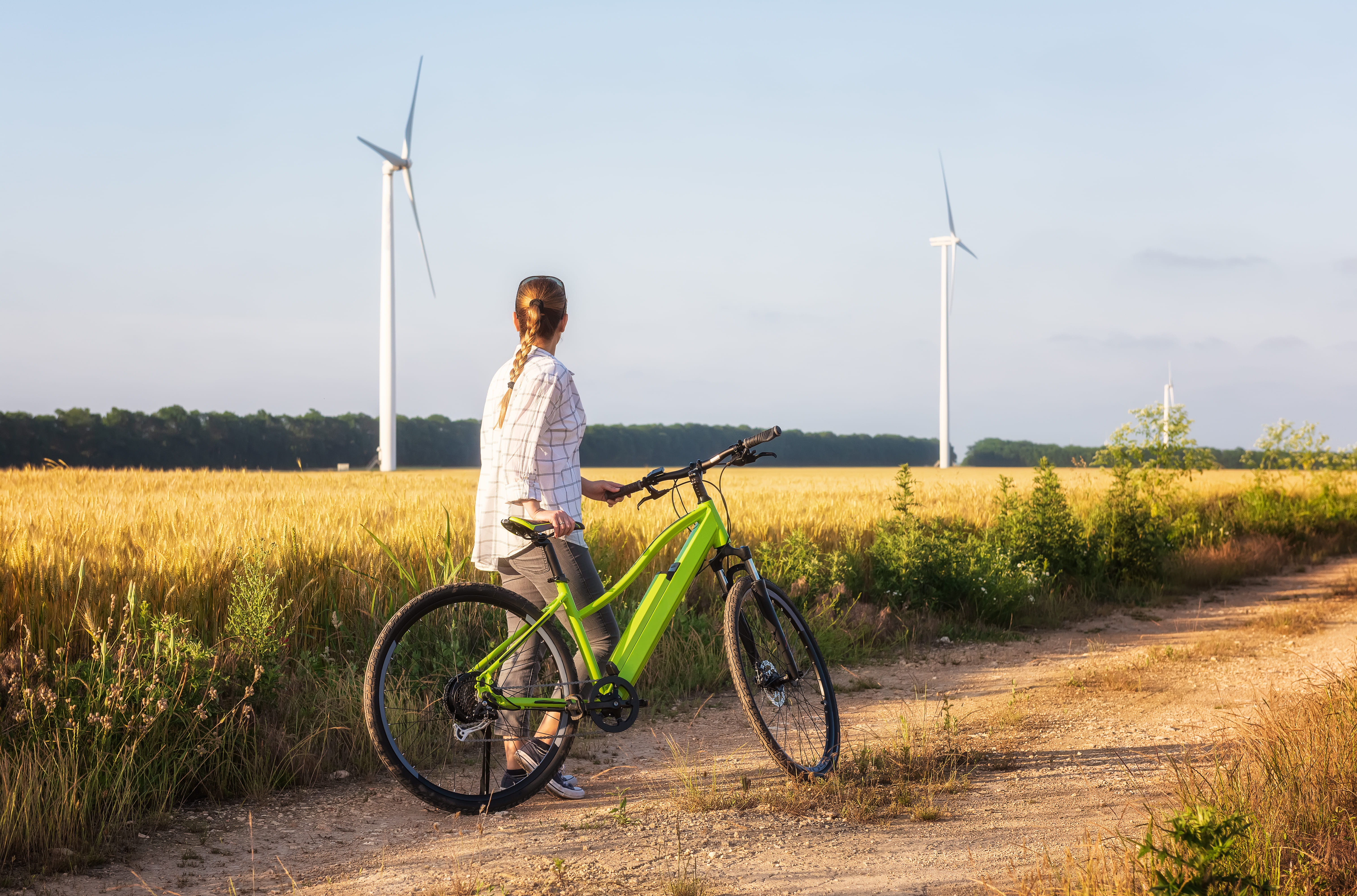 Bike rental
