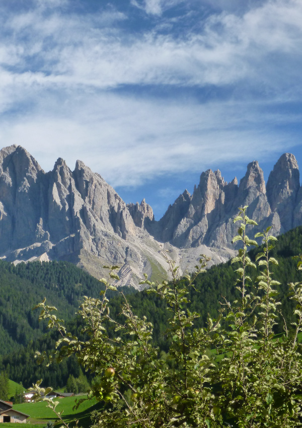 Gemeinsame Wanderung mit Bäuerin Veronika