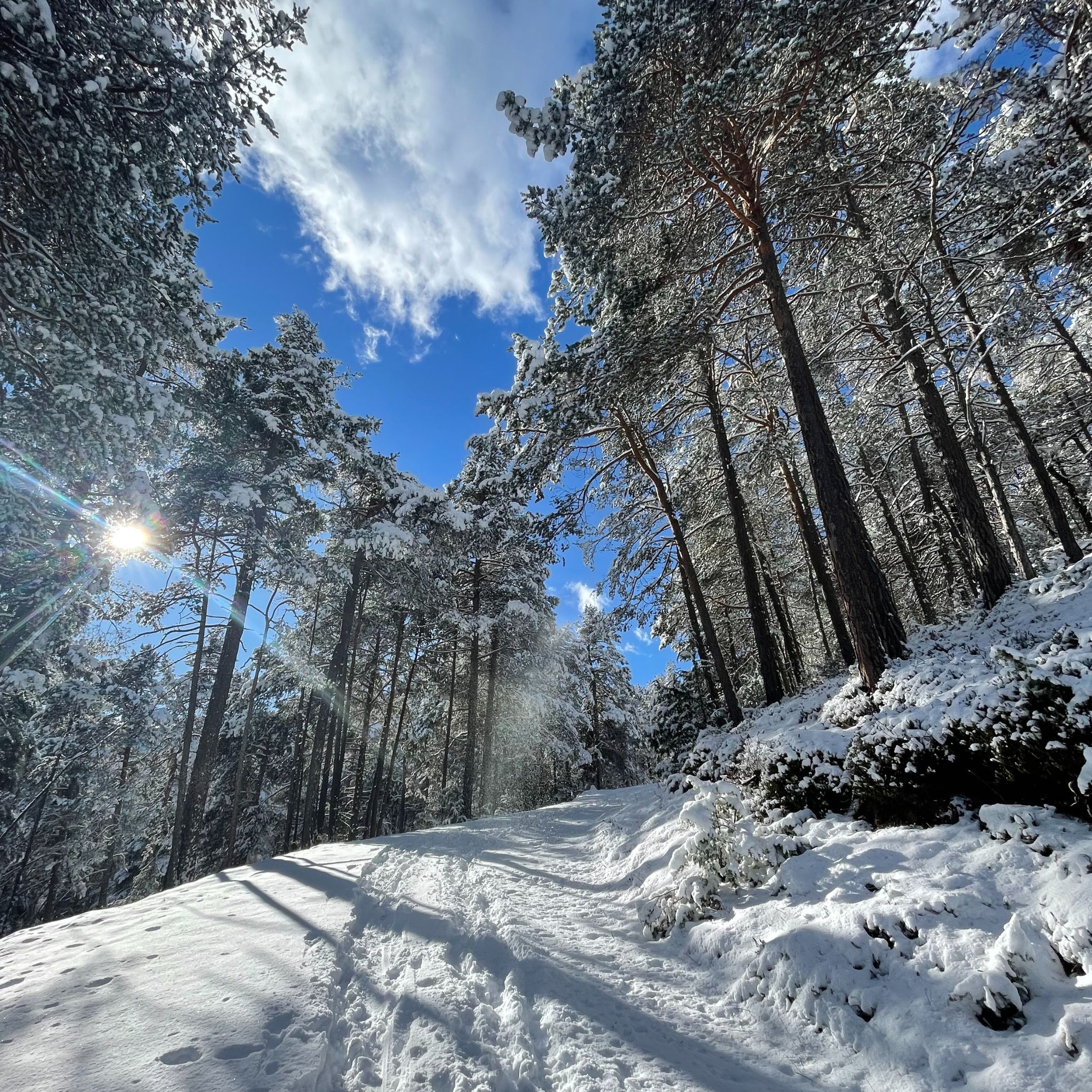 Snowshoe hut tour to the Gogles Alm