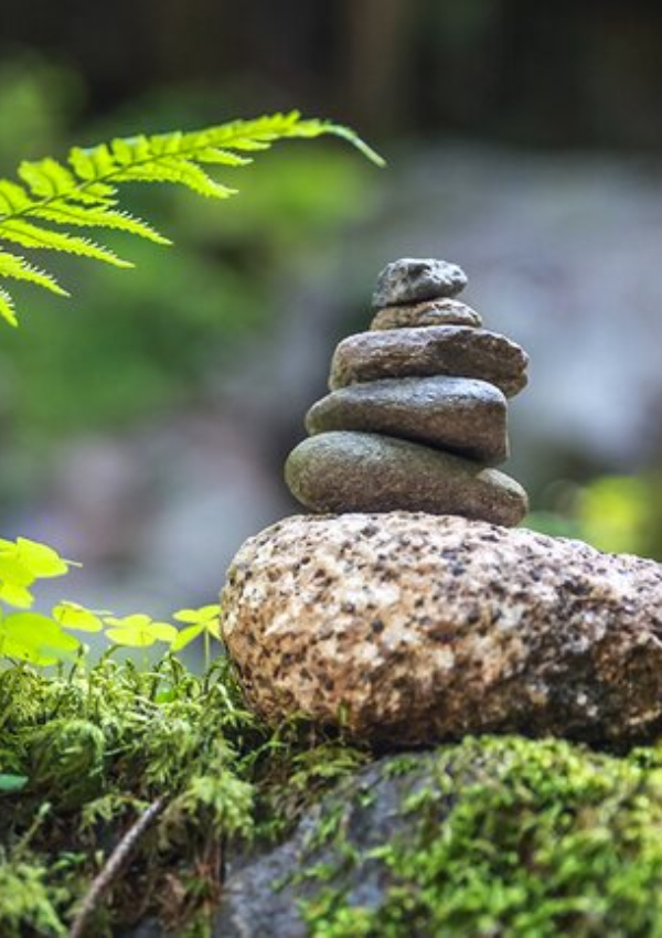 Natur-Wippe ins Gleichgewicht mit unserem Mentaltrainer Stefan 6b20a245-d1af-4604-a9bf-c1d2dbb33ac0.jpeg