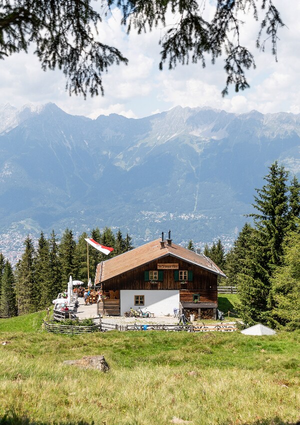 Hiking and culinary highlights on the Sistranser Alm image