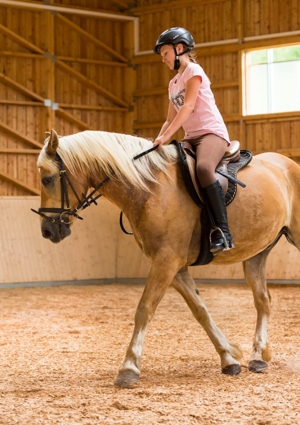 Reiten an der Longe