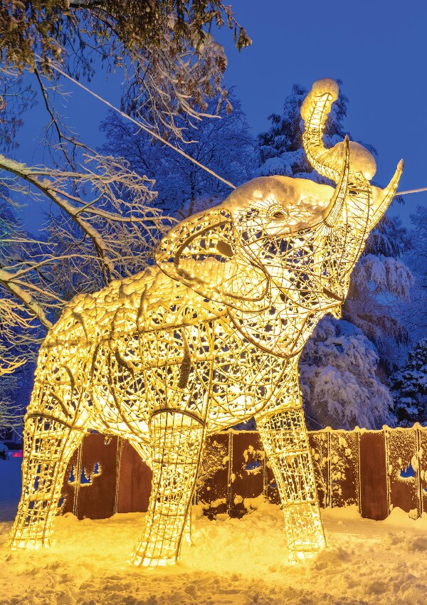 LUMAGICA Innsbruck image