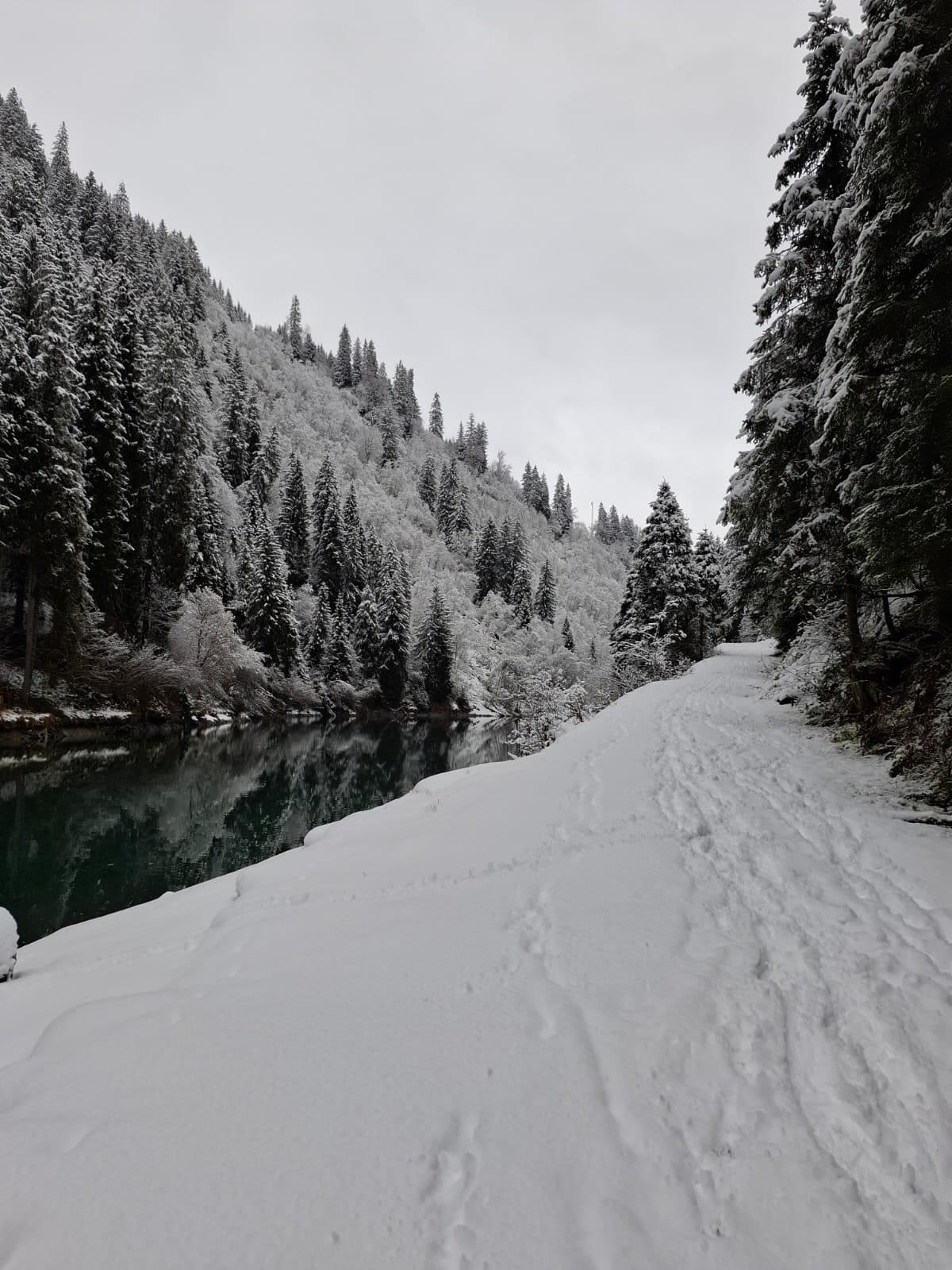 Guided snowshoe hike into the Hollersbach valley