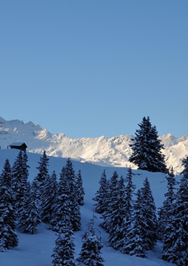 Snowshoe hiking - winter experience Hollersbachtal