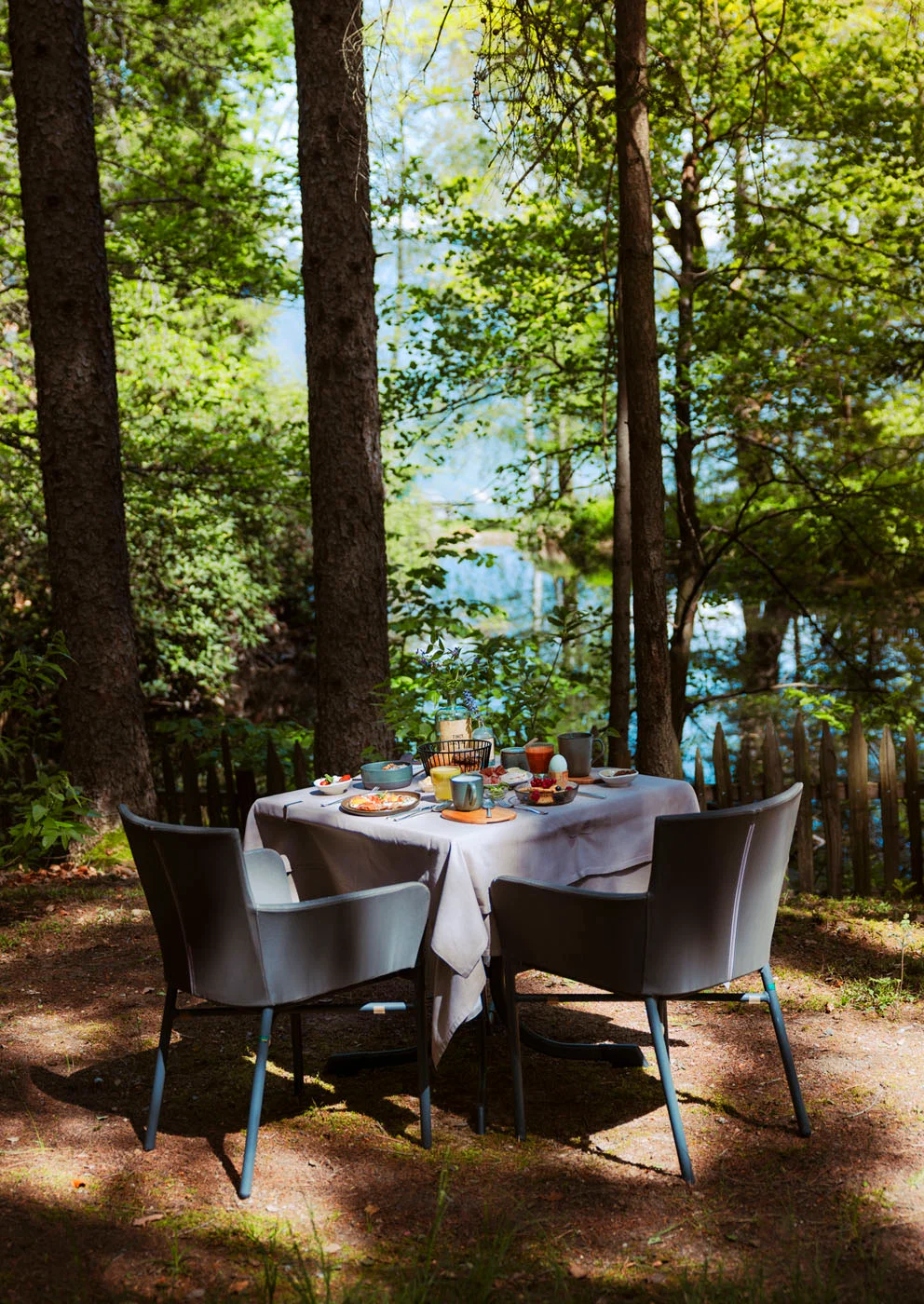Private forest breakfast in the forest park