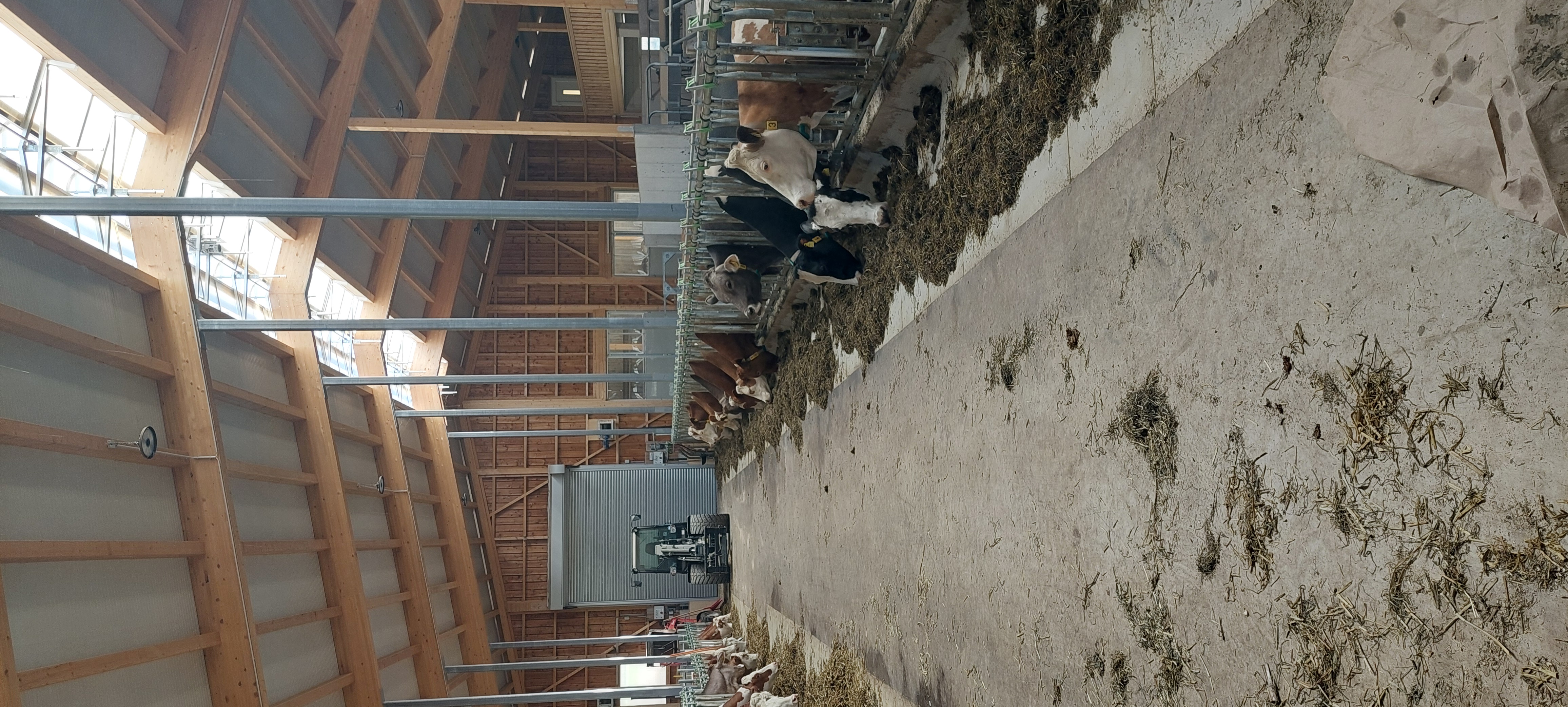 Stable tour through our new animal welfare barn