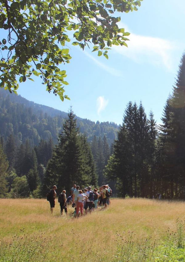 Gemeinde Wanderung Tour durch Moor- und Streuwiesen 715210a5-0cf6-4f10-89ba-257abc1b8601.jpeg
