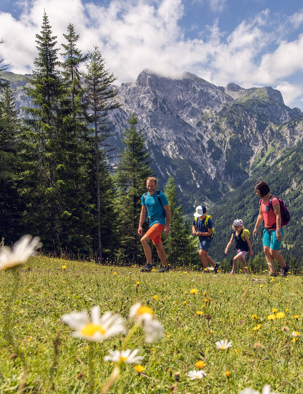 Summer herb hike with the TVB