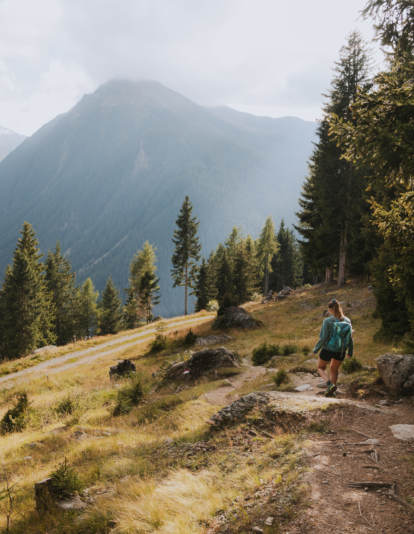 Guided hike