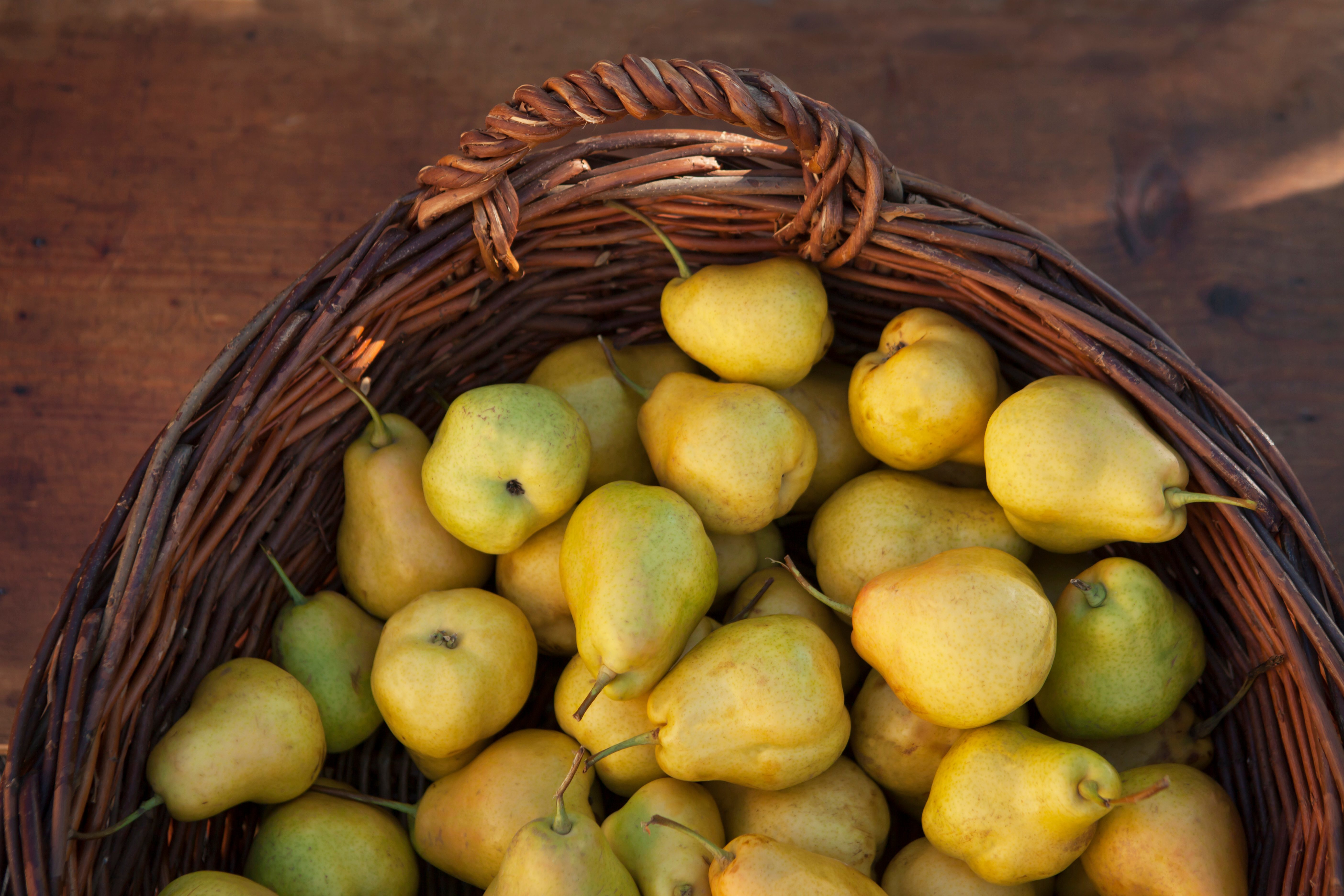 Autumn markets in the Vinschgau Valley
