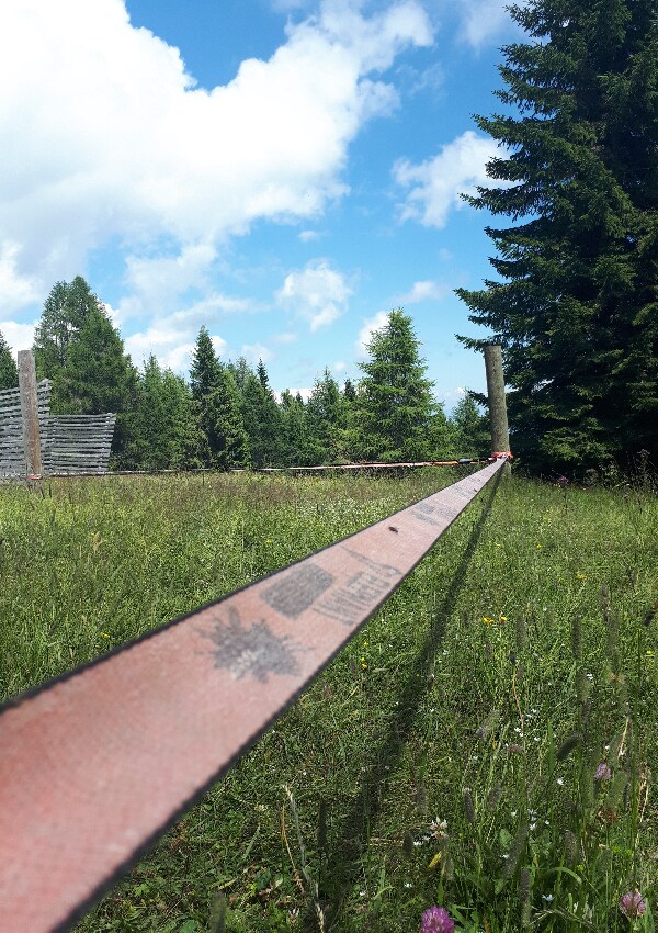 "Slackline" *