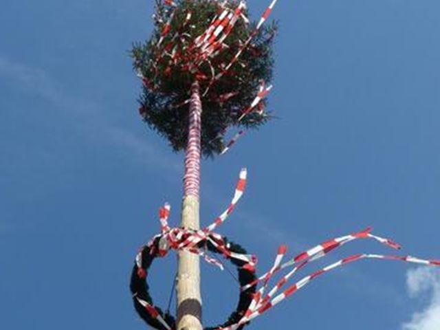 Moving the maypole 21.06.2025 from 14.00 h