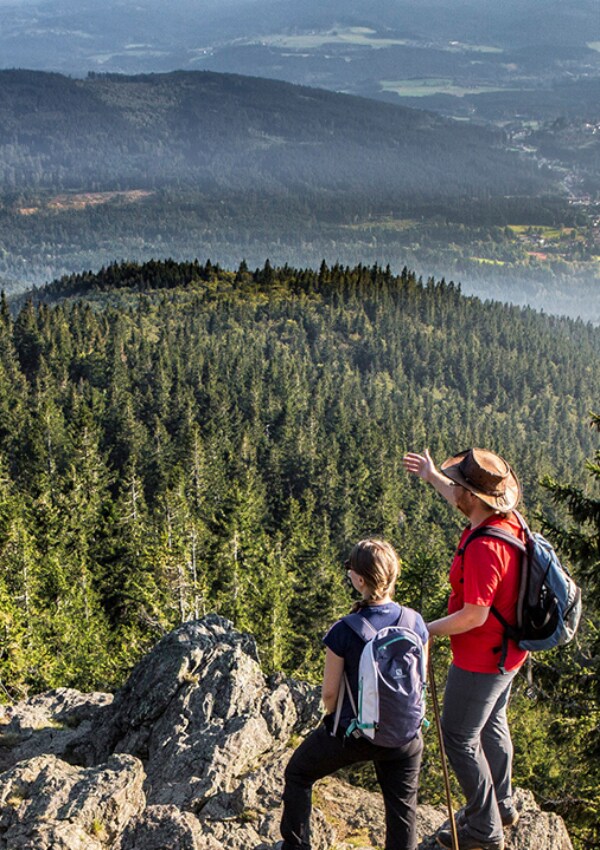 Free guided tours with the ranger in the national park