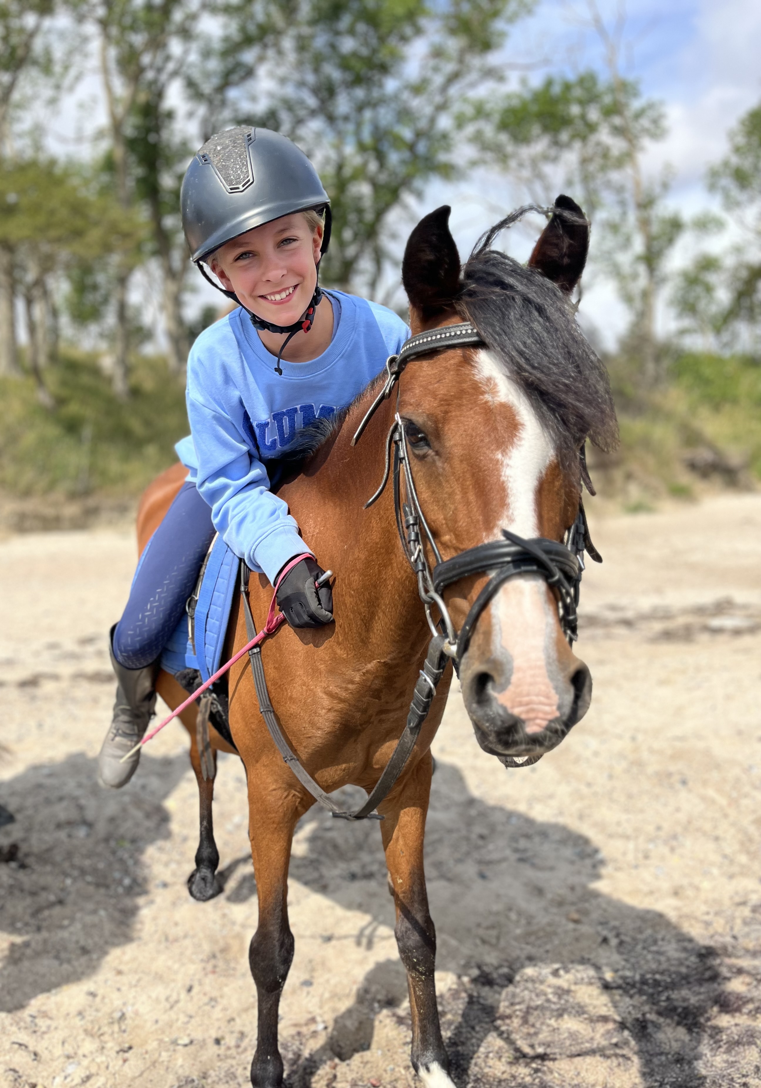 Professional Pony Speedster