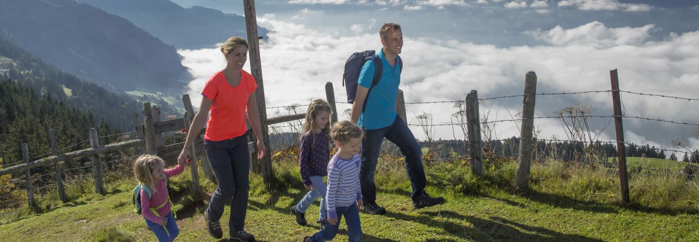 Mountain forest experience - car-free family hike