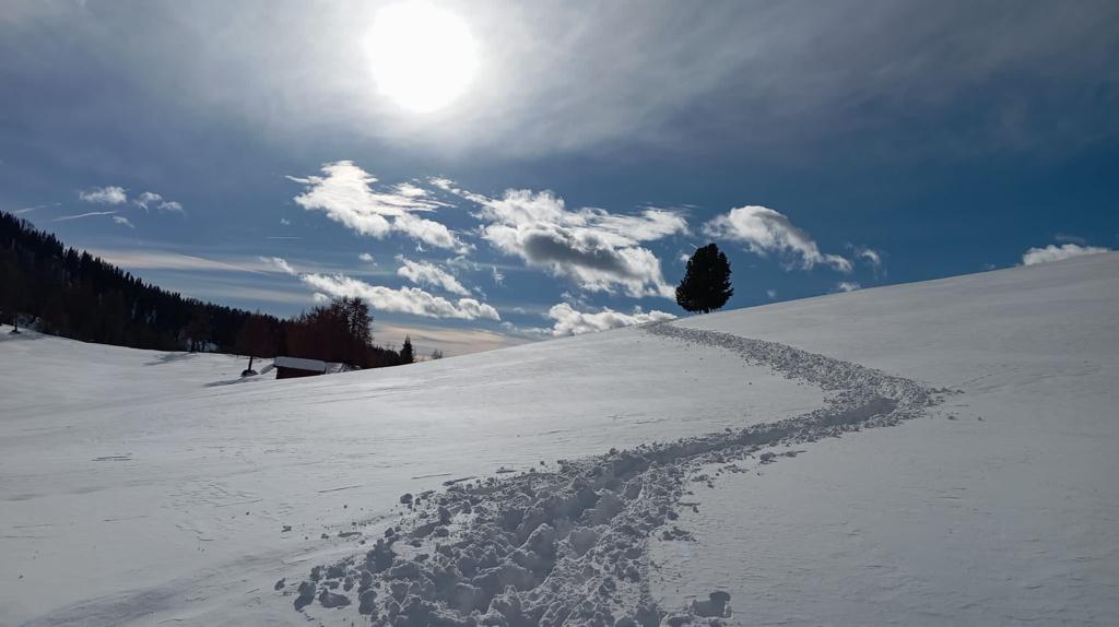 Slide 3