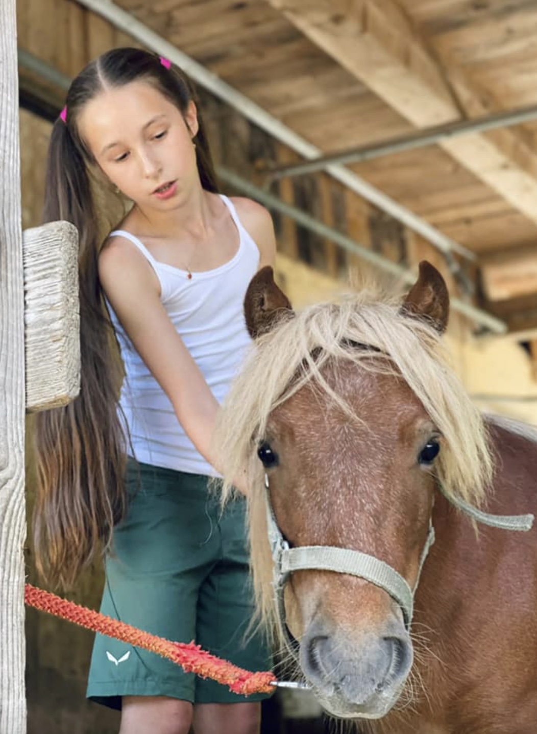 Pony hike on the alp | for big & small guests in Kirchberg