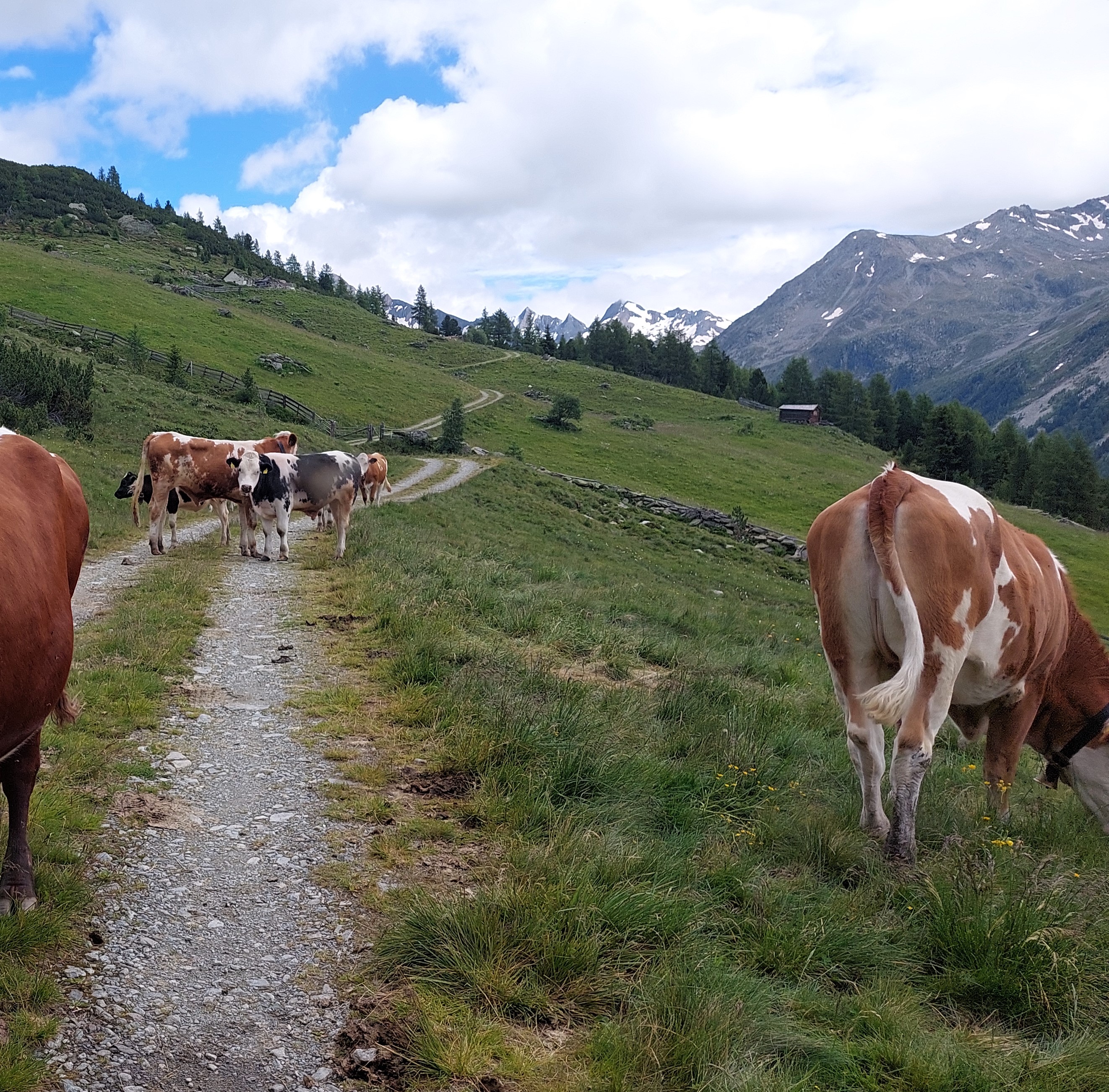 Hike | Kreuzkofel*