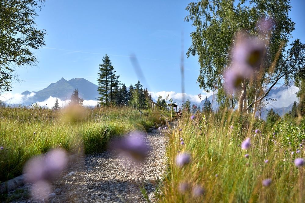 Geführte Wanderung rund um das Hochmoor Wasenmoos
