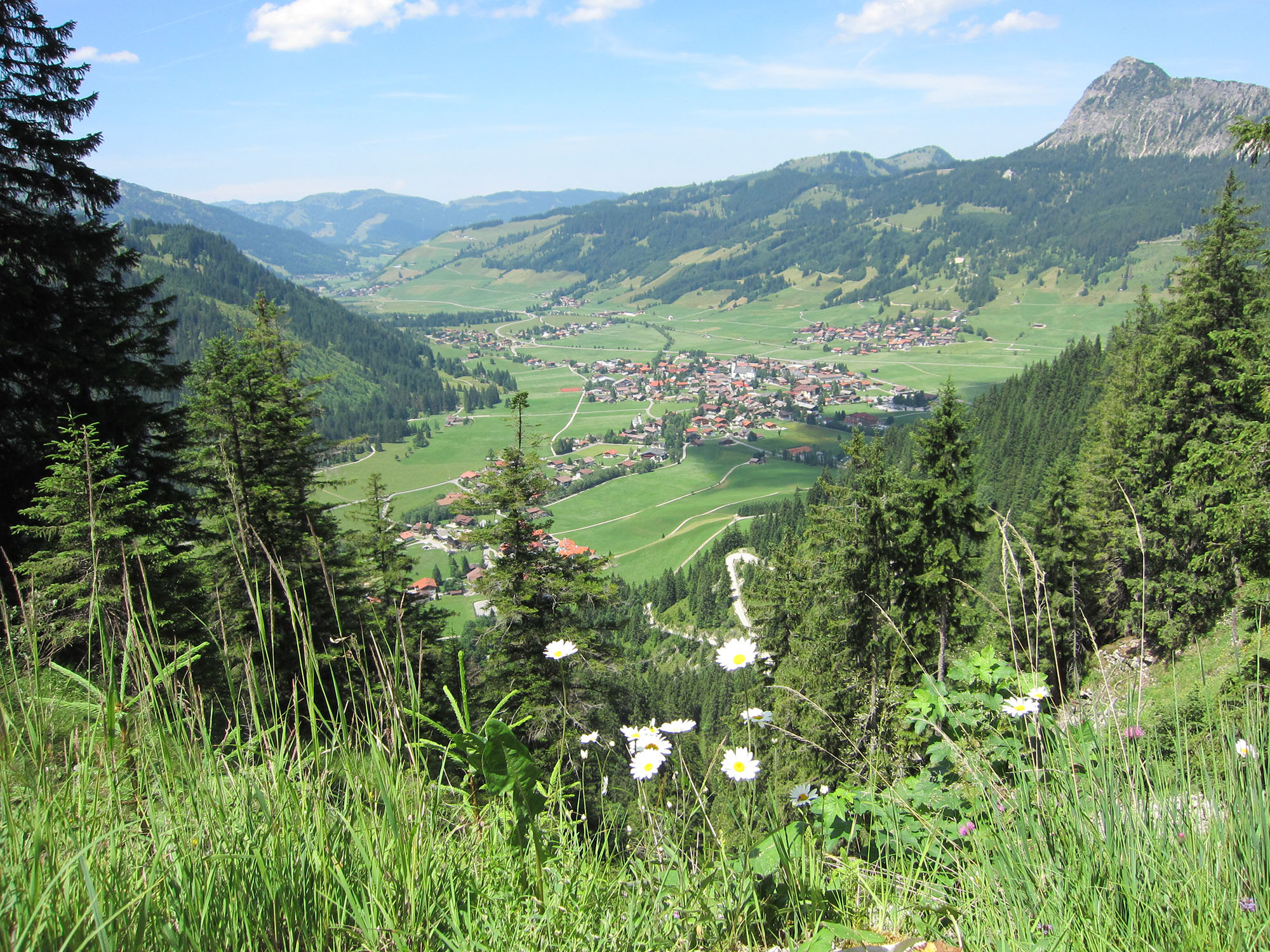   Usseralpe 1633 m geführte Wanderung