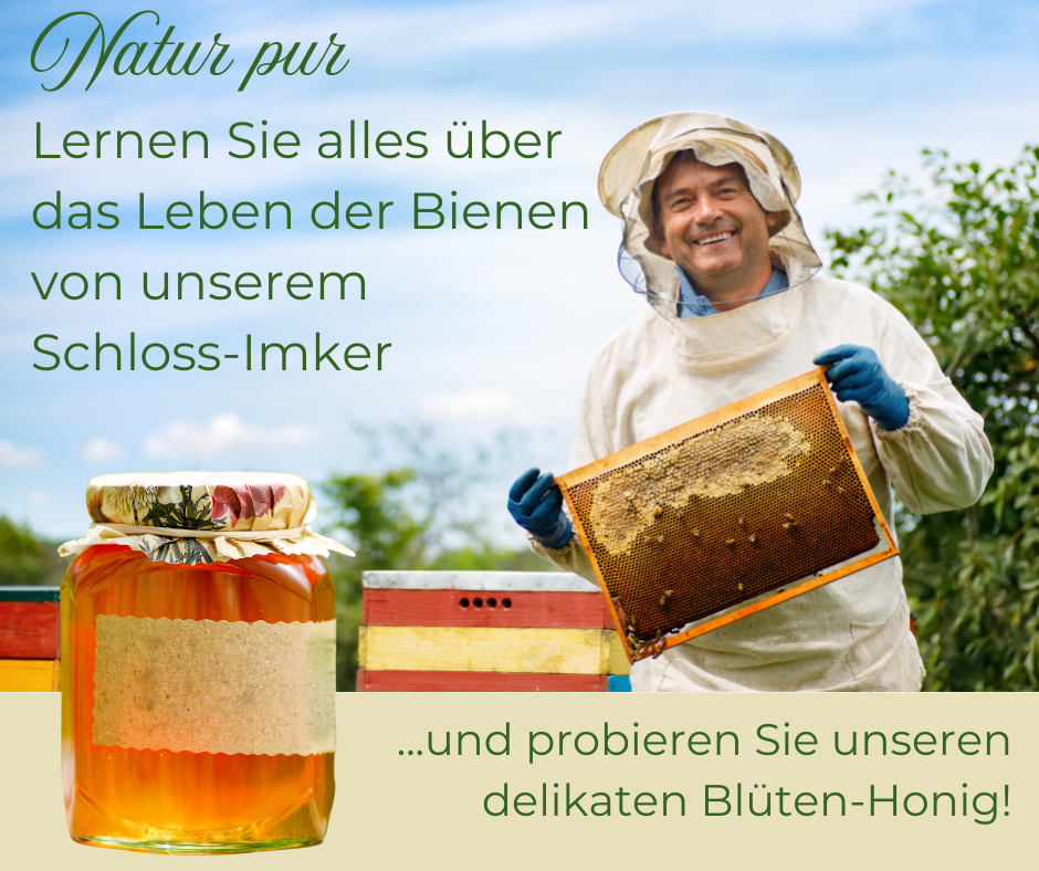 Visit to the beehive + honey tasting