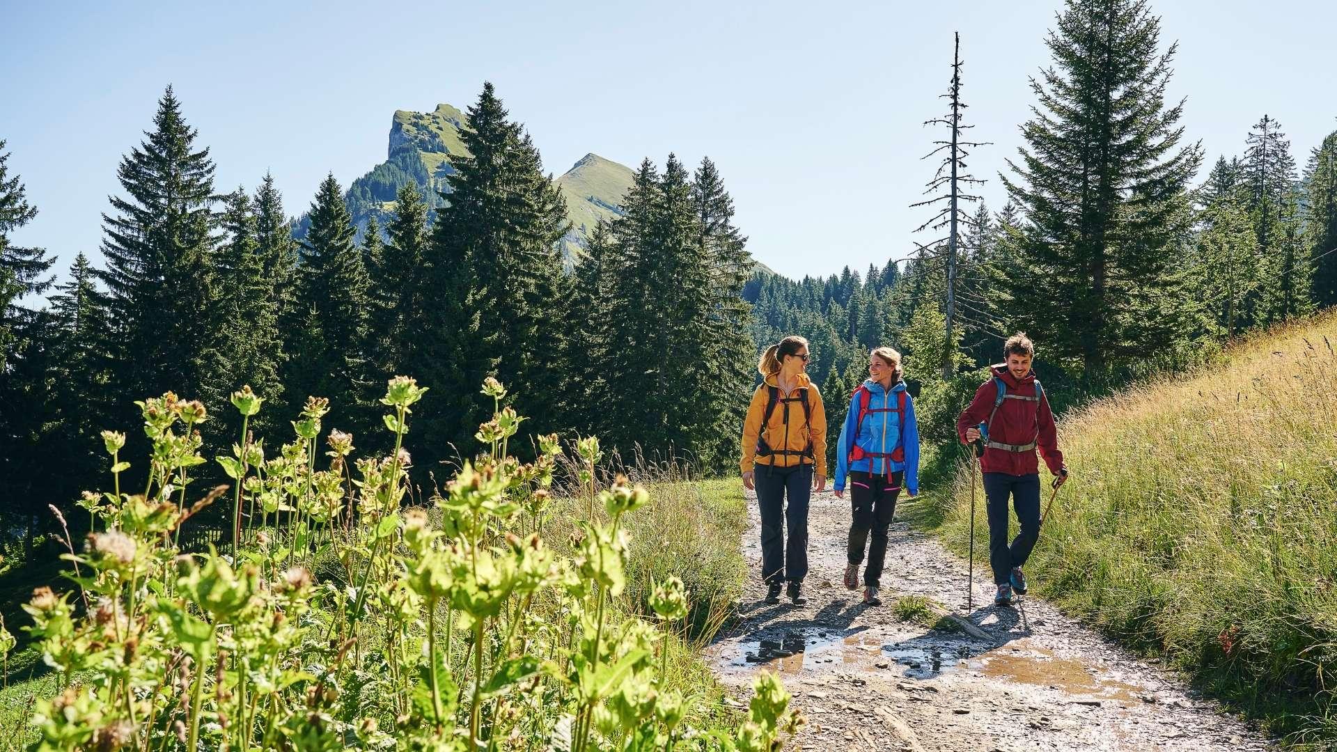 Kulinarisch Wandern - Mellau – Kanisfluh