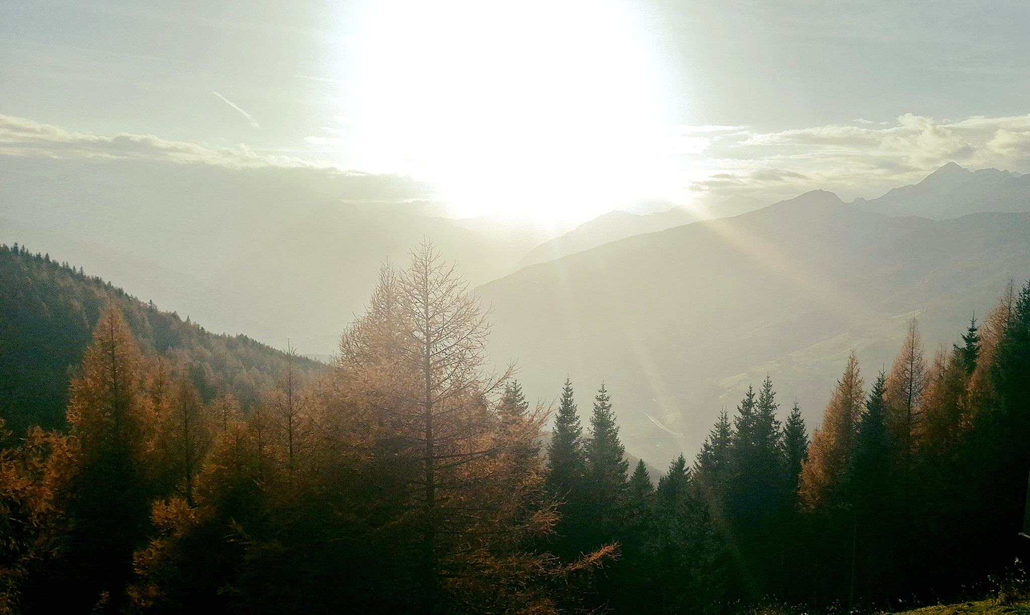 A swing through nature: Rosskopf & hidden valleys