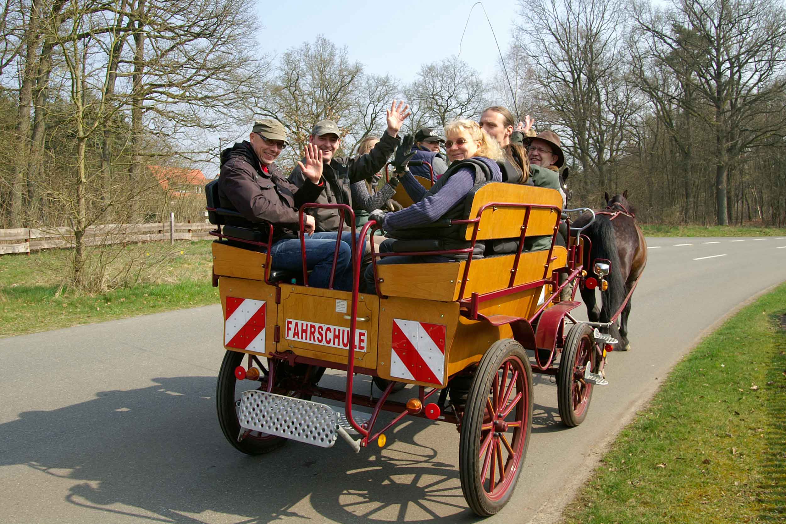 Taster courses - learn to drive a carriage