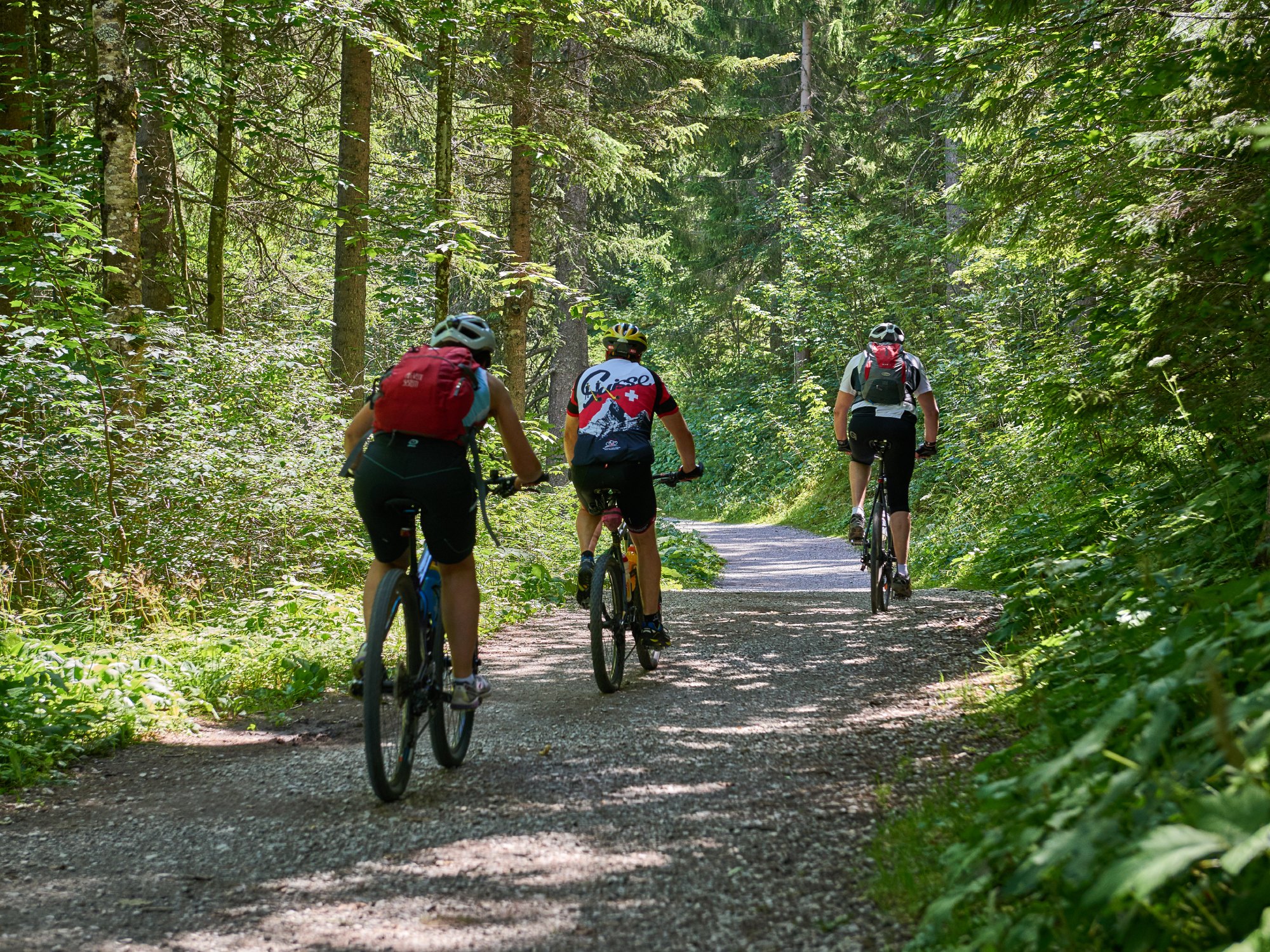 All about BIKING in the Tannheimer Tal!