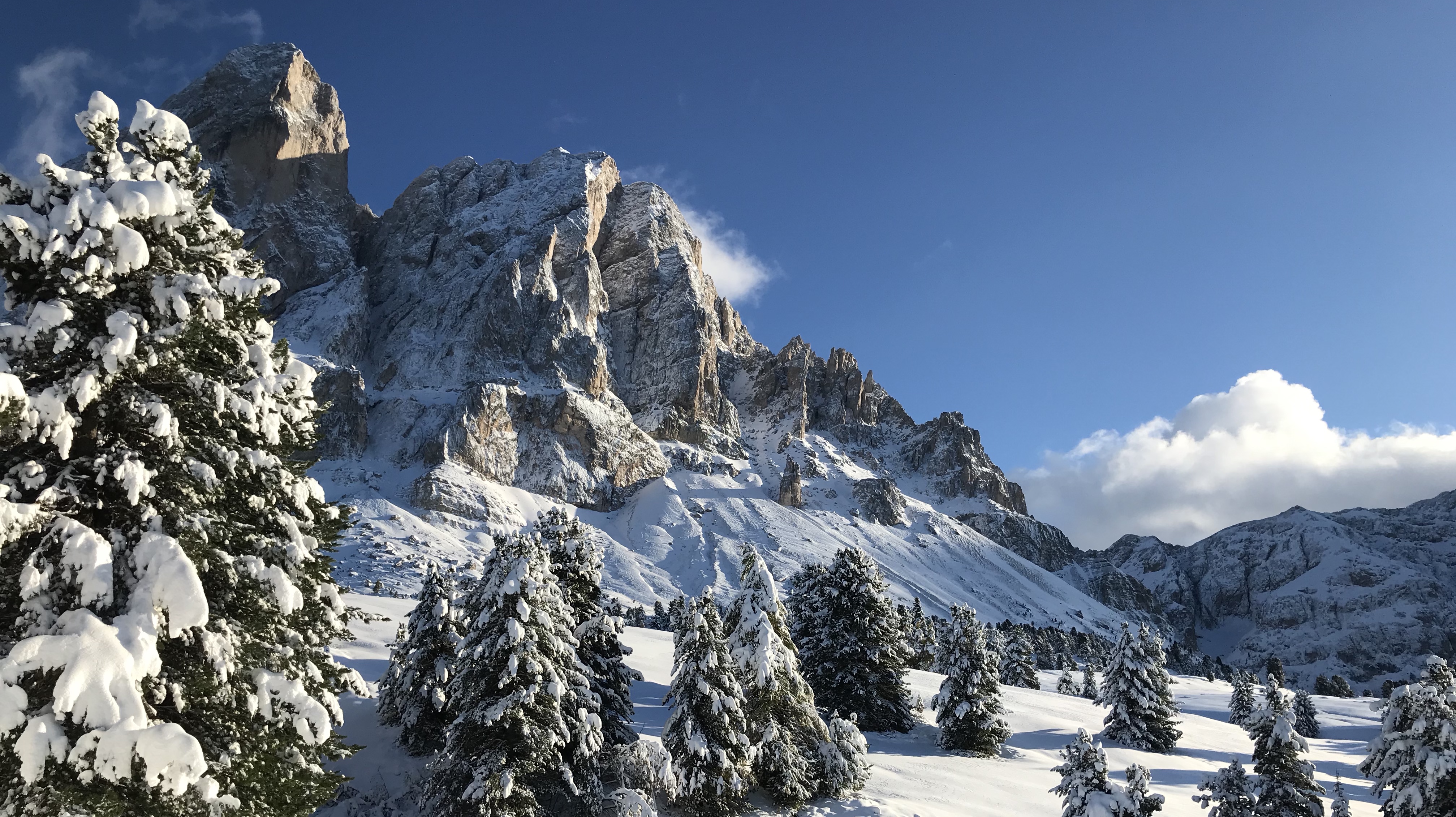Escursione guidata con le racchette da neve allo Zendleser Kofel