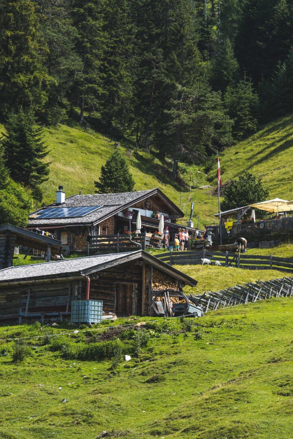Alm:Kultur at the Steinalm: Painting workshop with Cleo Ruisz