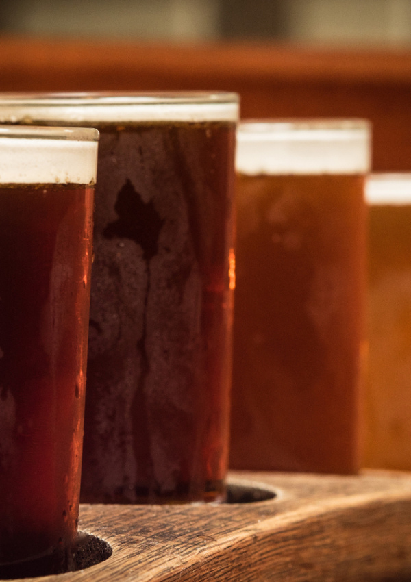 WildeGams - Brewery visit