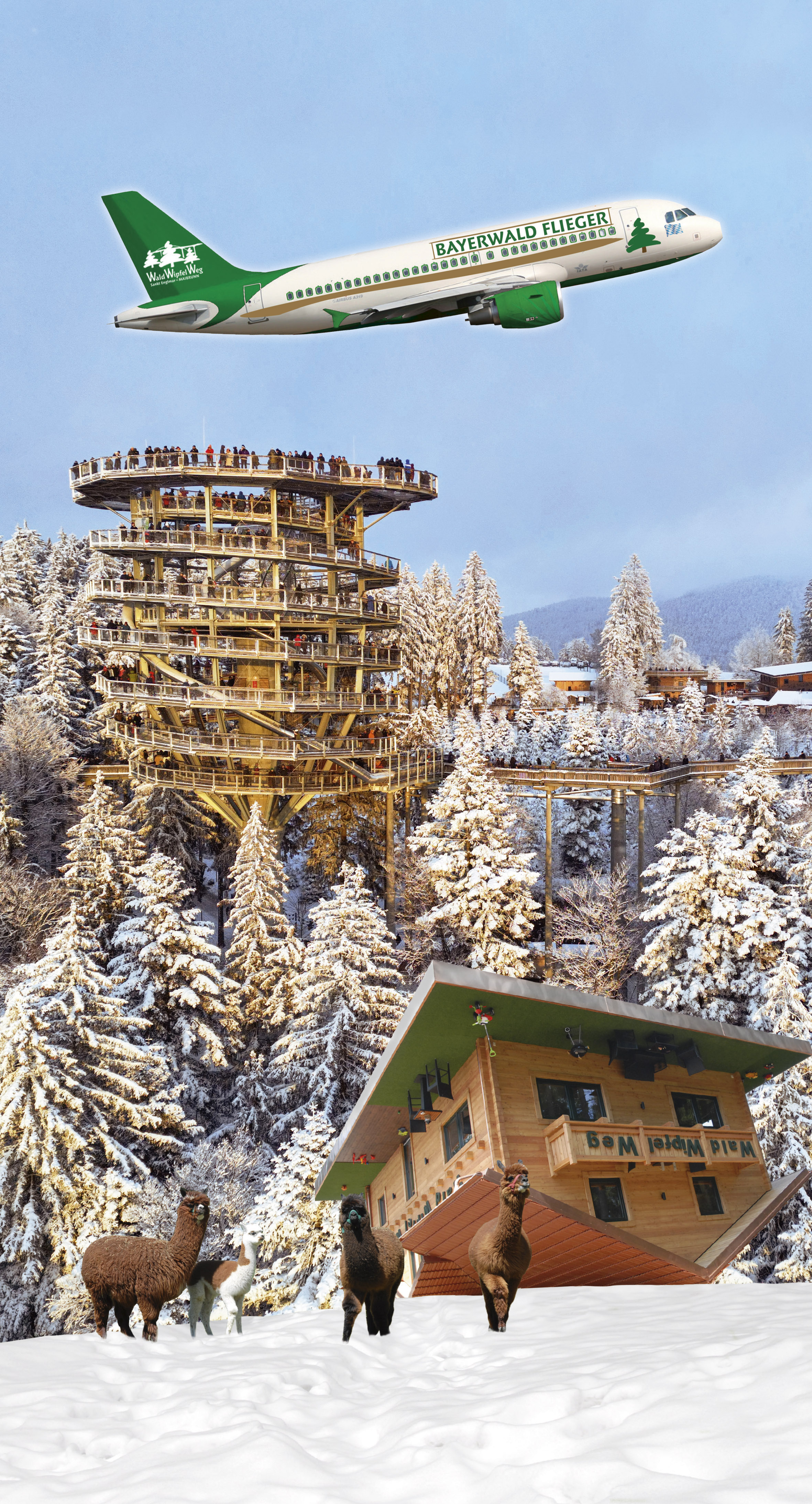Wipfelstürmer - the forest treetop path with tower
