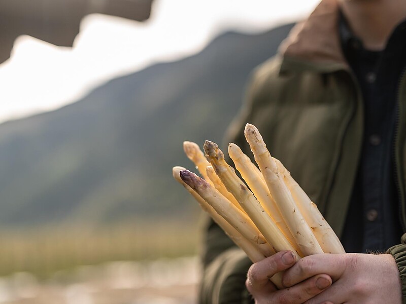 Guided tour through the delights of the asparagus season at Köfelgut