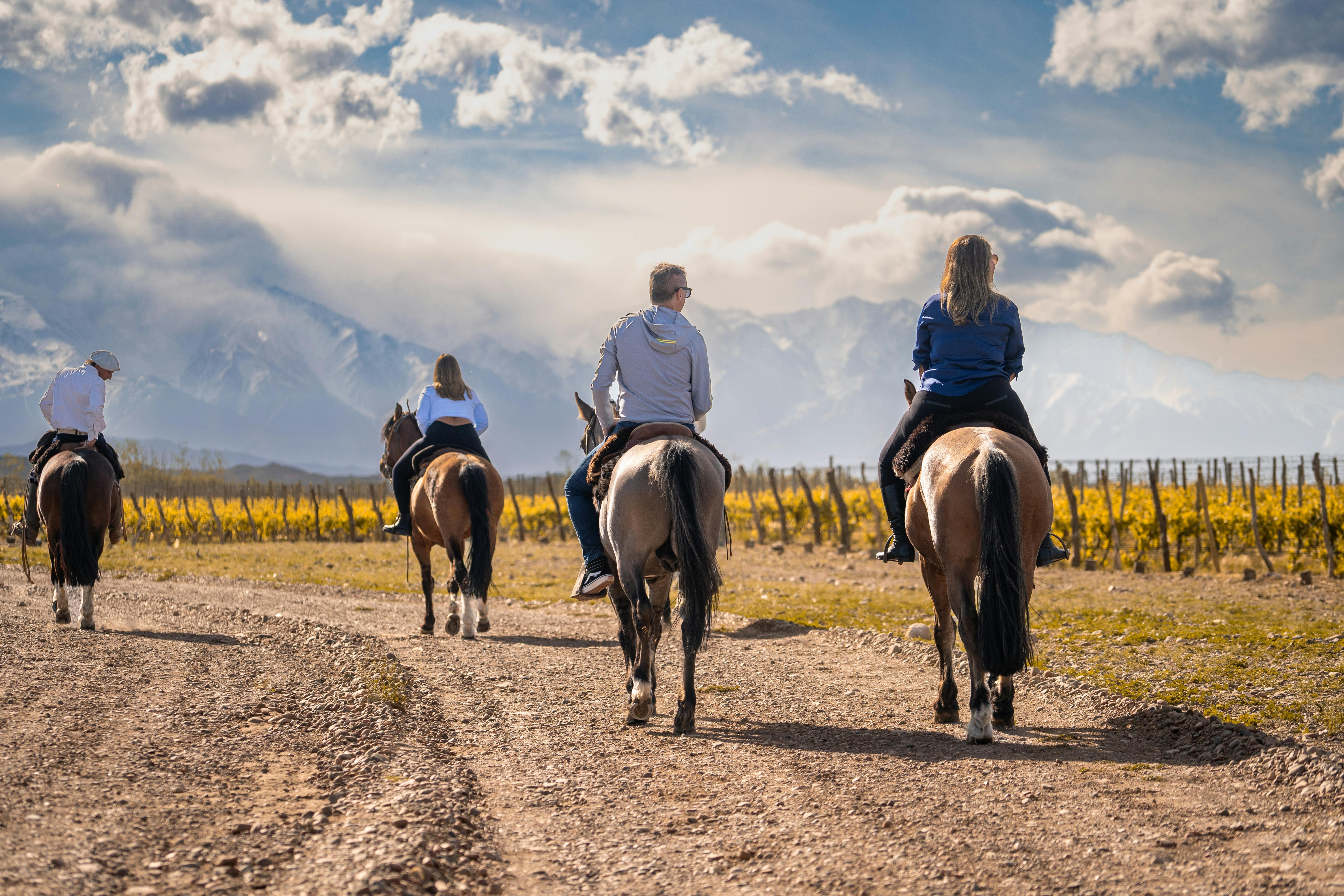 Reitwanderung in der Natur