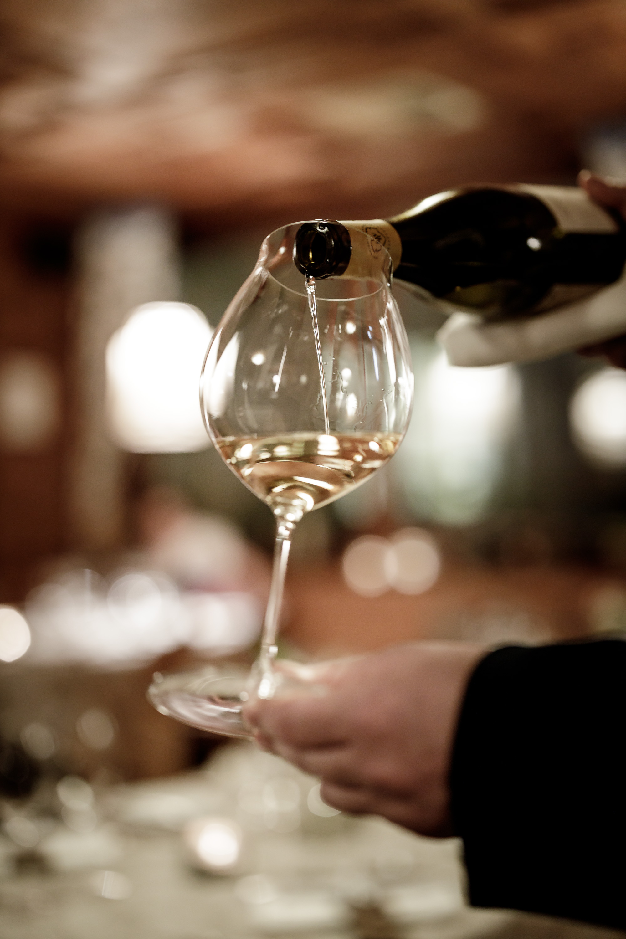 Exclusive wine tasting "The best from Austria and the world"
