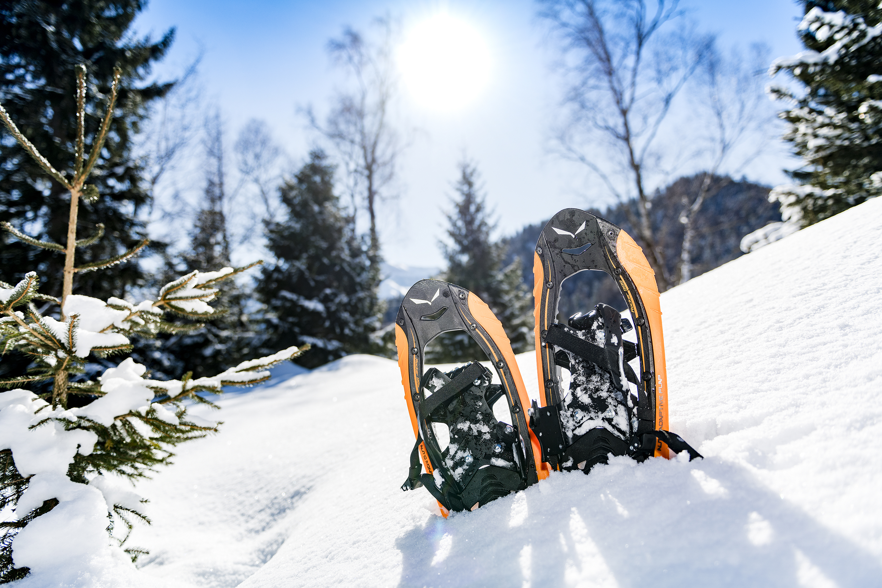 Snowshoe hike on the Rofan