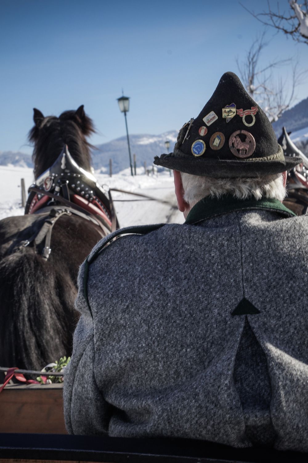 Horse-drawn carriage ride*