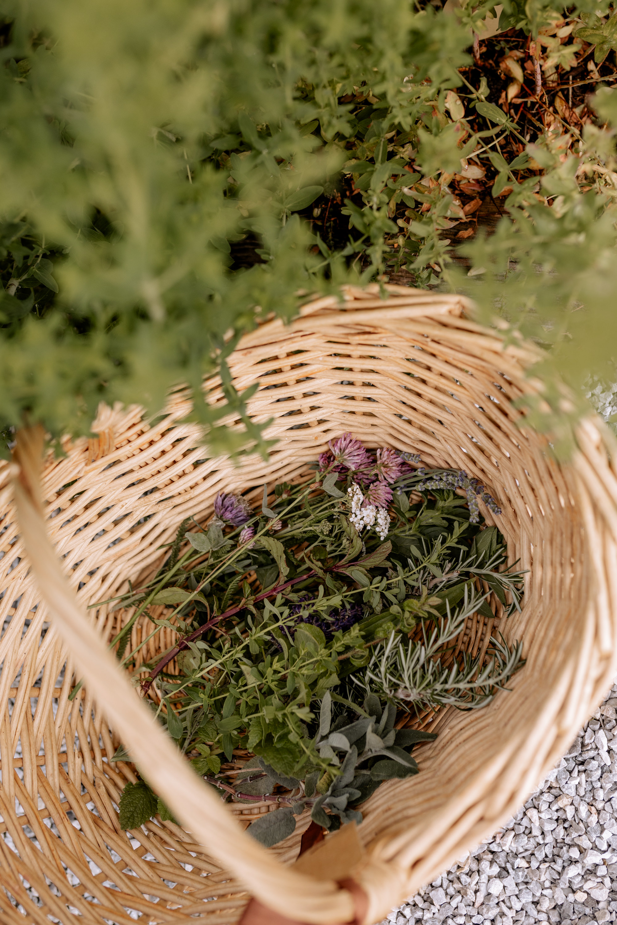 Herbal cuisine: make your own oxymel
